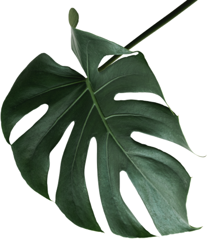 leaf